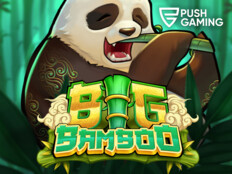 Best bet casino free slots85